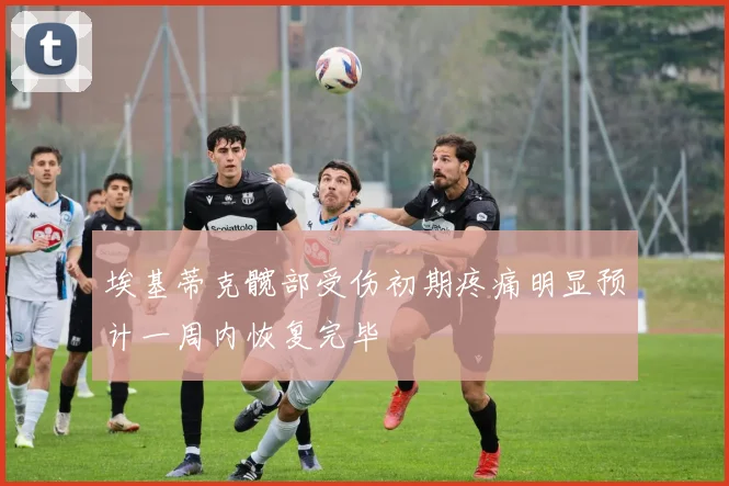 埃基蒂克髋部受伤初期疼痛明显预计一周内恢复完毕