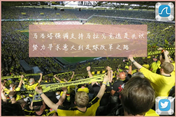 马洛塔强调支持马拉戈竞选是共识努力寻求意大利足球改革之路